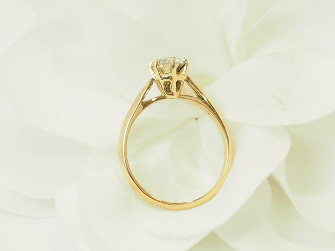 https://cdn.shopify.com/s/files/1/0750/3799/9372/files/P1019479.jpg?v=1780663223