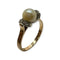 26905.webp