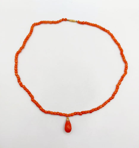 20260607_104723.jpg