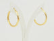 https://cdn.shopify.com/s/files/1/0750/3799/9372/files/P1019738.jpg?v=1781095905