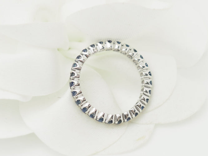 https://cdn.shopify.com/s/files/1/0750/3799/9372/files/P1019667.jpg?v=1781096162