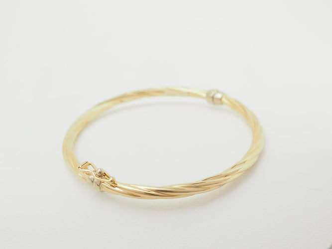 https://cdn.shopify.com/s/files/1/0750/3799/9372/files/P1019694.jpg?v=1781096780
