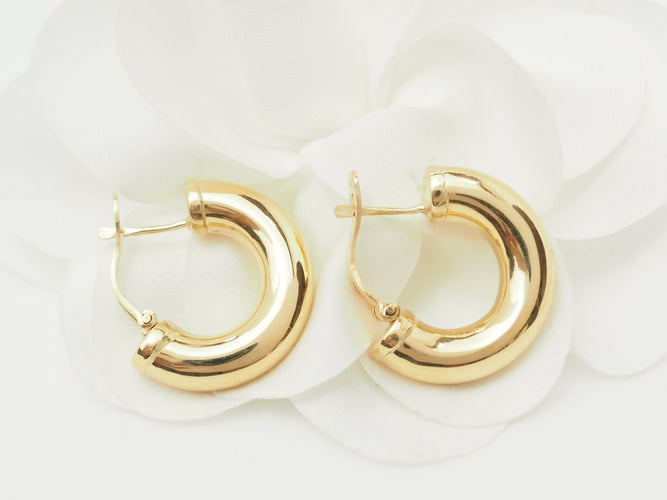 https://cdn.shopify.com/s/files/1/0750/3799/9372/files/P1019649.jpg?v=1781097866