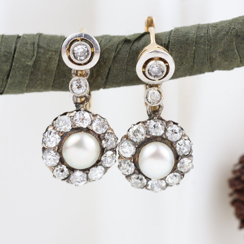 IMG_6087.jpg
