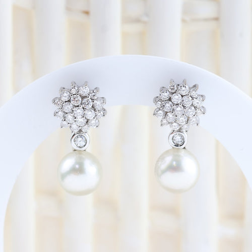 IMG_6467.jpg