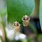 Boucles d'oreilles Boucles d'oreilles vintage en or 18K, diamants et rubis 58 Facettes A2009R