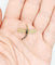 Pendentif Pendentif libellule vintage en or 18k, saphirs et diamants 58 Facettes A07284