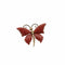 Broche Broche Papillon en or jaune et corail rouge 58 Facettes REF23121-143