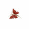 Broche Broche Papillon en or jaune et corail rouge 58 Facettes REF23121-143