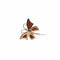 Broche Broche Papillon en or jaune et corail rouge 58 Facettes REF23121-143