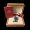 Montre Omega Seamaster Planet Ocean - Montre en acier 58 Facettes MT47010