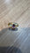 Bague 52 Bague en or jaune et améthyste poire 58 Facettes Bague 001