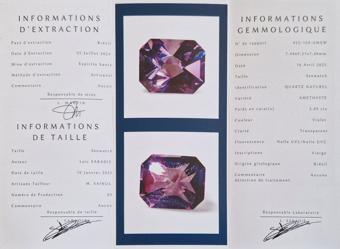 Pendentif Améthyste du Brésil - Pierre 2,69 ct violette 58 Facettes #25-104-AMSW