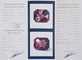 Pendentif Améthyste du Brésil - Pierre 2,69 ct violette 58 Facettes #25-104-AMSW