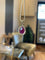 Collier Collier en or jaune avec rubis 6,19 ct et diamants 58 Facettes Collier