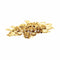 Broche Fleurs - Broche en or jaune et diamants 58 Facettes 35775