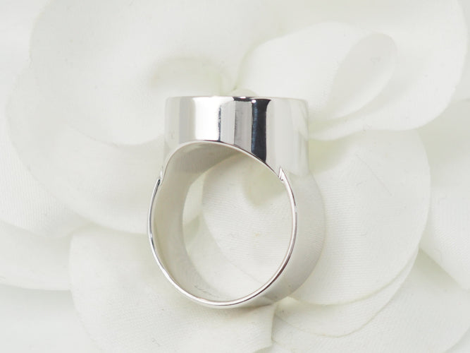 https://cdn.shopify.com/s/files/1/0750/3799/9372/files/P1014520.jpg?v=1764929720