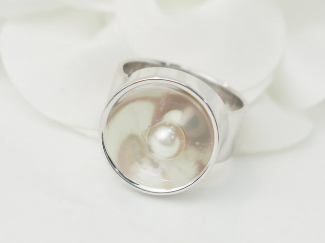 https://cdn.shopify.com/s/files/1/0750/3799/9372/files/P1014533.jpg?v=1764929720