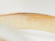 Bague 57 Cartier Trinity Classic - Bague en trois ors 18 carats 58 Facettes 33803