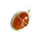Camée - Pendentif-broche en or jaune et coquillage 58 Facettes Z15B51828