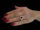 PA1523_f.jpg