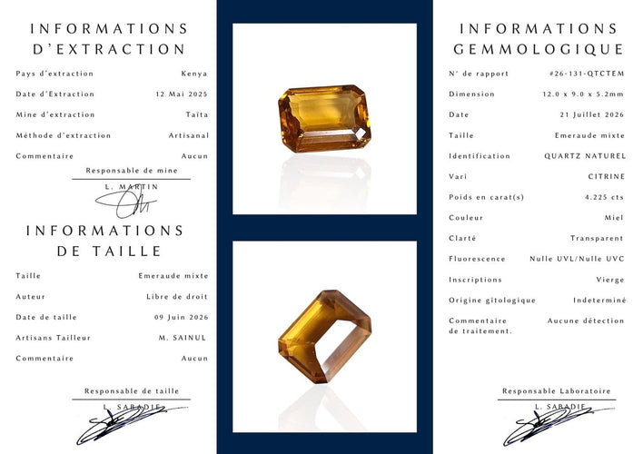 Citrine - Pierre 4,225 ct taille émeraude mixte couleur miel 58 Facettes #26-131-QTCTEM