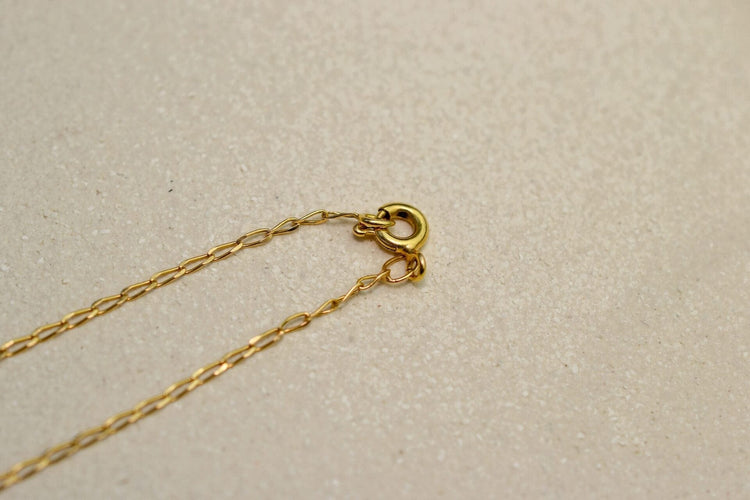 https://cdn.shopify.com/s/files/1/0963/7950/2920/files/DSC_0488_c83be0df-33a3-4edb-88e4-e34a3311a71f.jpg?v=1779984444