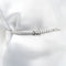 DSC_1317.webp