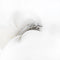 DSC_3570-2-scaled.webp