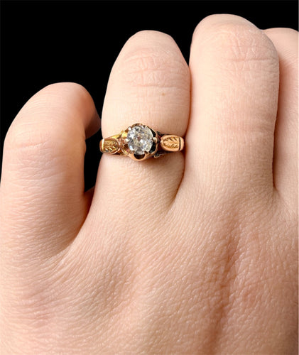 https://cdn.shopify.com/s/files/1/0759/4583/6889/files/BD6B6D63-0985-431B-AE81-16481478F904.jpg?v=1769077562