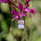 Pendentif Signature - Pendentif en or 14K et pierre de lune arc-en-ciel 58 Facettes 11186