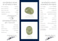 Préhnite - Pierre cabochon ovale mixte vert d’eau 11,225 ct 58 Facettes #26-137-PRCBOV