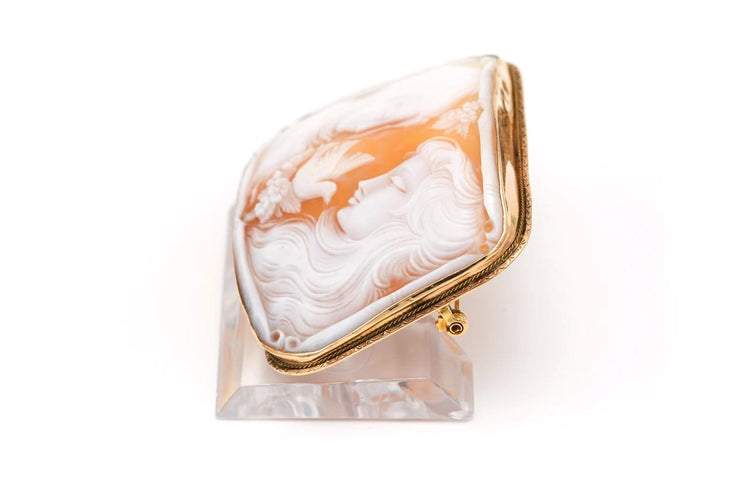 Broche Broche Art Nouveau en or jaune 14 carats et camée coquillage 58 Facettes 22921