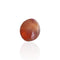 Grenat spessartite - Pierre ovale mixte de Zambie 3,270 ct 58 Facettes #26-140-GRSPOV