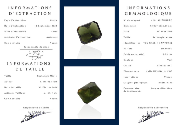 Tourmaline dravite - Pierre rectangle mixte 2,73 ct champagne 58 Facettes #26-142-TMDRRE