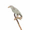 22283-0088.p06_A Victorian tiepin  the white raven among antique jewels  circa 1900-en.jpg
