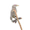 22283-0088.p08_A Victorian tiepin  the white raven among antique jewels  circa 1900-en.jpg