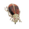 26127-0278.p04_A circa 1880 beetle brooch with reddish tiger s eye and seed pearls-en.jpg