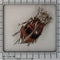 26127-0278.p08_A circa 1880 beetle brooch with reddish tiger s eye and seed pearls-en.jpg