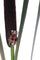 26127-0278.p01_A circa 1880 beetle brooch with reddish tiger s eye and seed pearls-en.jpg