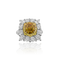 IMG_7286.png