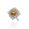 IMG_7274.png
