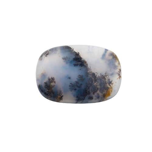 Plaque Cabochonnée Agate Dendritique 41.73 Carats 58 Facettes P305