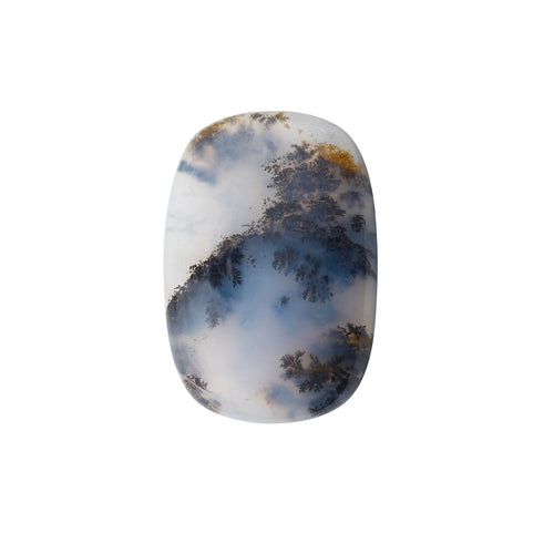 Plaque Cabochonnée Agate Dendritique 41.73 Carats 58 Facettes P305