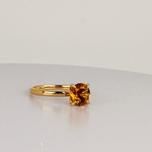 https://cdn.shopify.com/s/files/1/0829/5212/6812/files/Ringmetcitrien_3fcd822d-f4aa-4468-9175-8c4ab7acbd8f.jpg?v=1787773916
