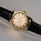 Omega Seamaster Cross-Hair - Montre automatique plaqué or 58 Facettes TOT-01533