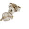 Boucles d'oreilles Boucles d’oreilles pendantes - Quarzs fumés et perles en or 18 ct 58 Facettes 31650
