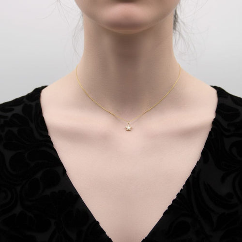 https://cdn.shopify.com/s/files/1/0075/4188/2943/files/IMG_8968_6984dc39-6c1b-475a-8e1c-d2a2a8d7f435.jpg?v=1788377717