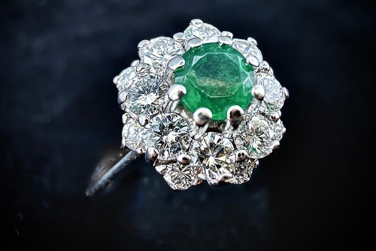 IMG_1099.jpg