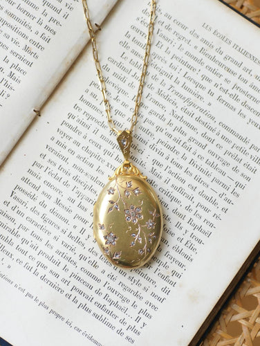 https://cdn.shopify.com/s/files/1/0075/4588/0666/files/il_fullxfull.8471456916_ktaj.jpg?v=1788860133